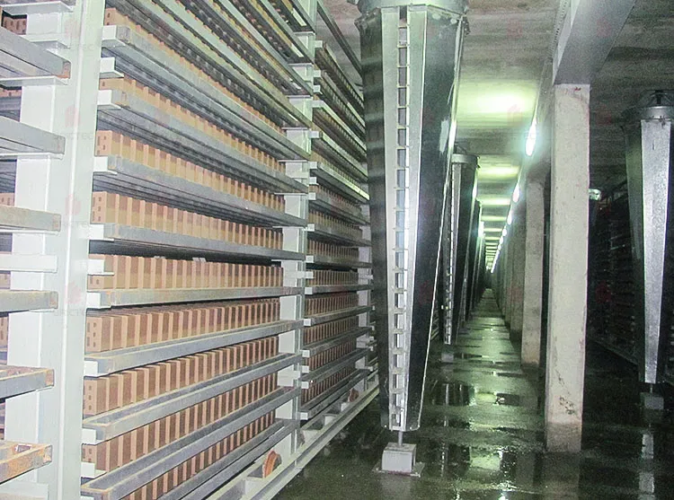 Maszyna susząca oddzielnik cyklonów do suszenia cegieł glinianych w procesie 1